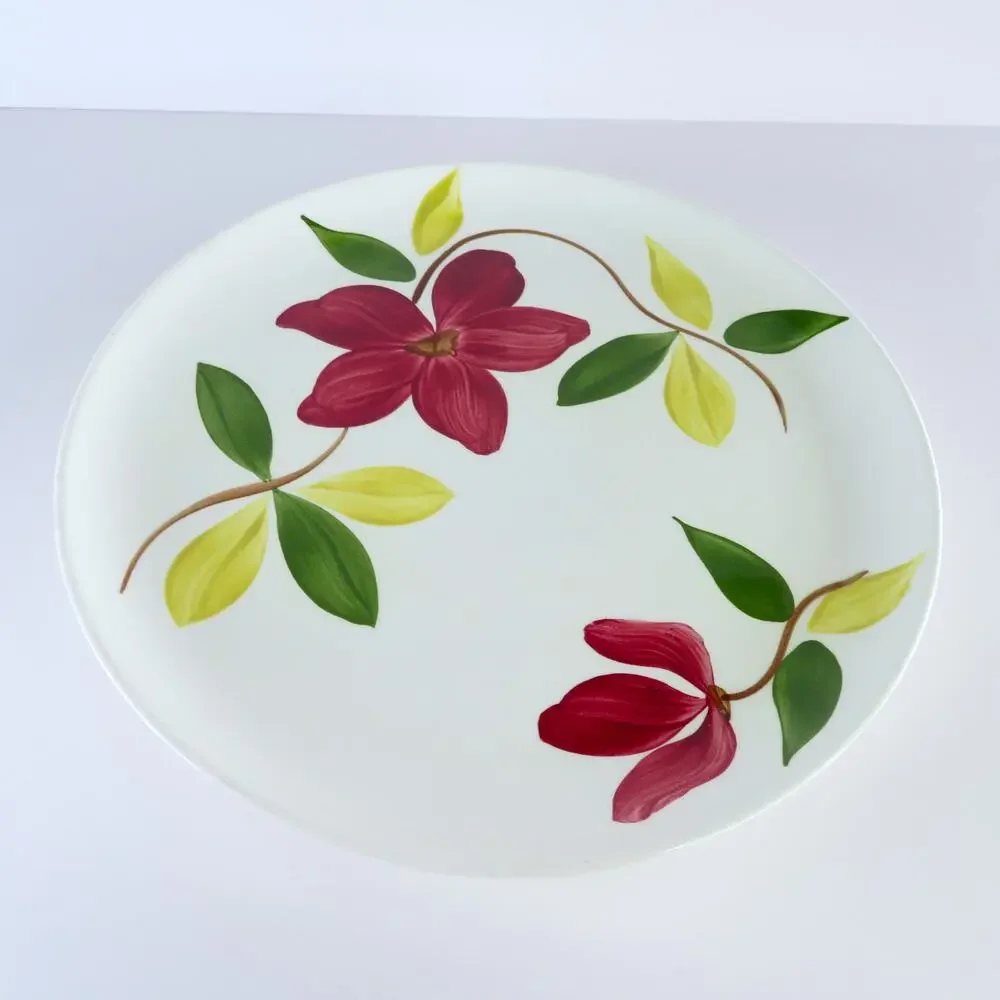 Vintage Stetson Rio Meadow Rose 20 Pc Dinnerware Set Service for 4 MCM USA